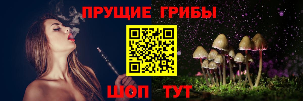 Псилоцибиновые грибы прущие грибы  Вход с VPN  Кирово-Чепецк  Галлюциногенные грибы Cubensis 